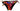 Dolce & Gabbana Dolce & Gabbana Black Floral Print Swimsuit Bikini Bottom Swimwear - Swimwear