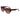 Lacoste Lacoste Brown Acetate Sunglasses - Sunglasses