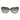 Scotch & Soda Brown Acetate Sunglasses